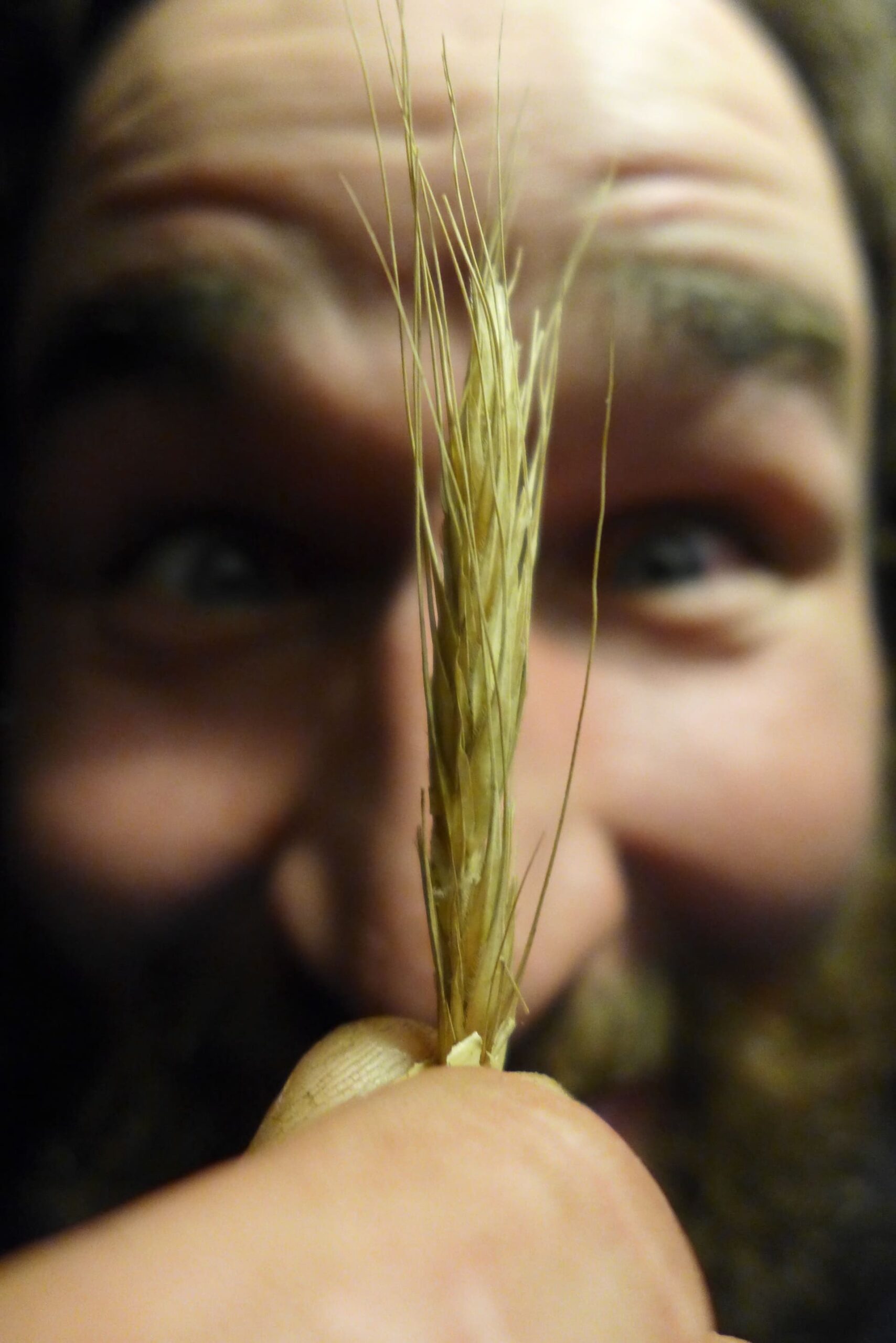 Ferme #3